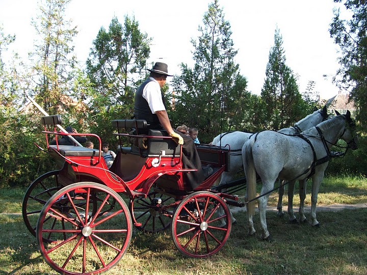 2011. szeptember 17-18 Iskola 142.jpg